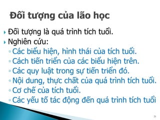  Đối tượng là quá trình tích tuổi.
 Nghiên cứu:
◦ Các biểu hiện, hình thái của tích tuổi.
◦ Cách tiến triển của các biểu hiện trên.
◦ Các quy luật trong sự tiến triển đó.
◦ Nội dung, thực chất của quá trình tích tuổi.
◦ Cơ chế của tích tuổi.
◦ Các yếu tố tác động đến quá trình tích tuổi
21
 