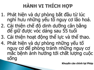 HÀNH VI THÍCH HỢP
1. Phát hiện và dự phòng bắt đầu từ lúc
nghỉ hưu những yếu tố nguy cơ lão hoá.
2. Cải thiện chế độ dinh dưỡng cân bằng
để giữ được vóc dáng sau 55 tuổi
3. Cải thiện hoạt động thể lực và thể thao.
4. Phát hiện và dự phòng những yếu tố
nguy cơ để phòng tránh những nguy cơ
mắc bệnh ảnh hưởng tới chất lượng cuộc
sống
Khuyến cáo chính tại Pháp
 