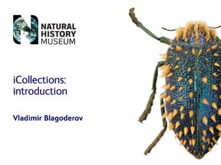 iCollections:
introduction
Vladimir Blagoderov
 