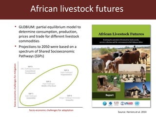 Sustainable animal production systems in Africa