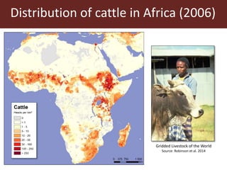 Sustainable animal production systems in Africa
