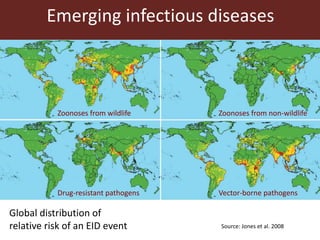 Sustainable animal production systems in Africa