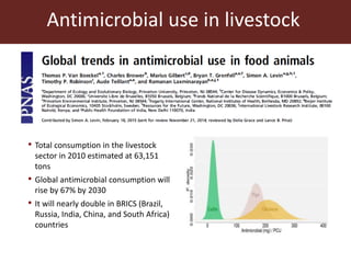 Sustainable animal production systems in Africa