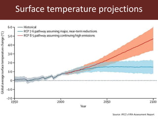 Sustainable animal production systems in Africa