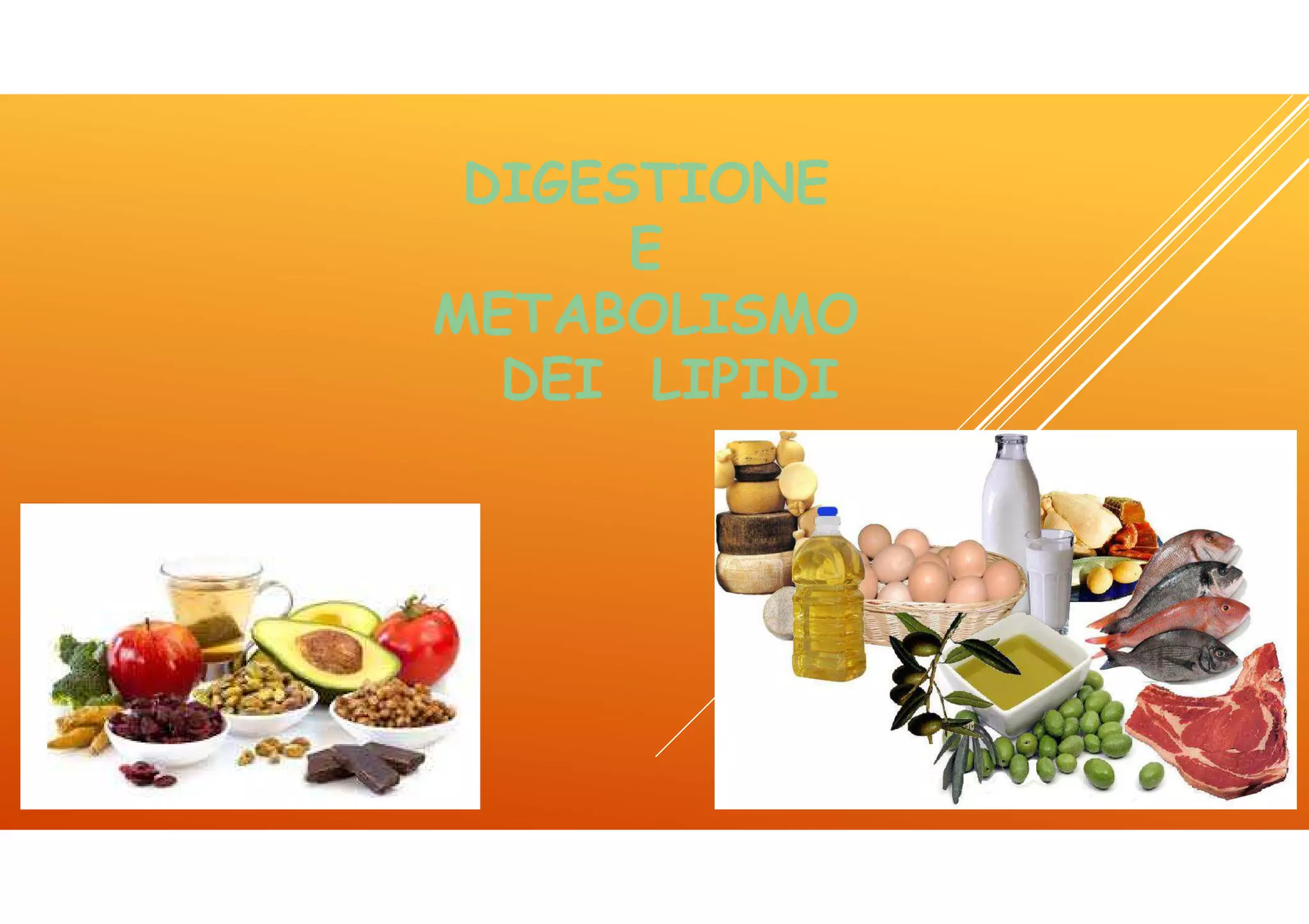 Icom lez 4 lipidi | PDF