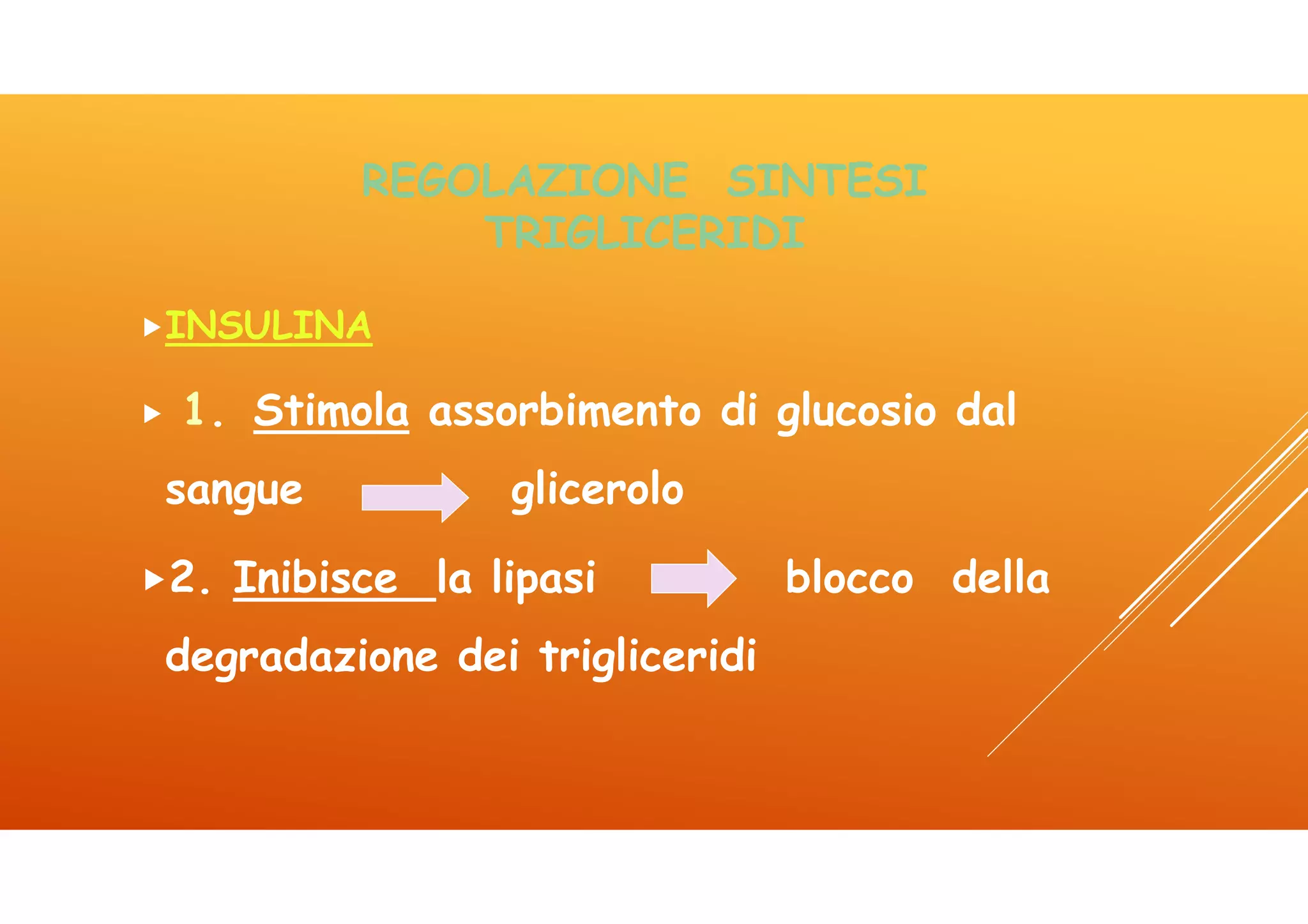 Icom lez 4 lipidi | PDF