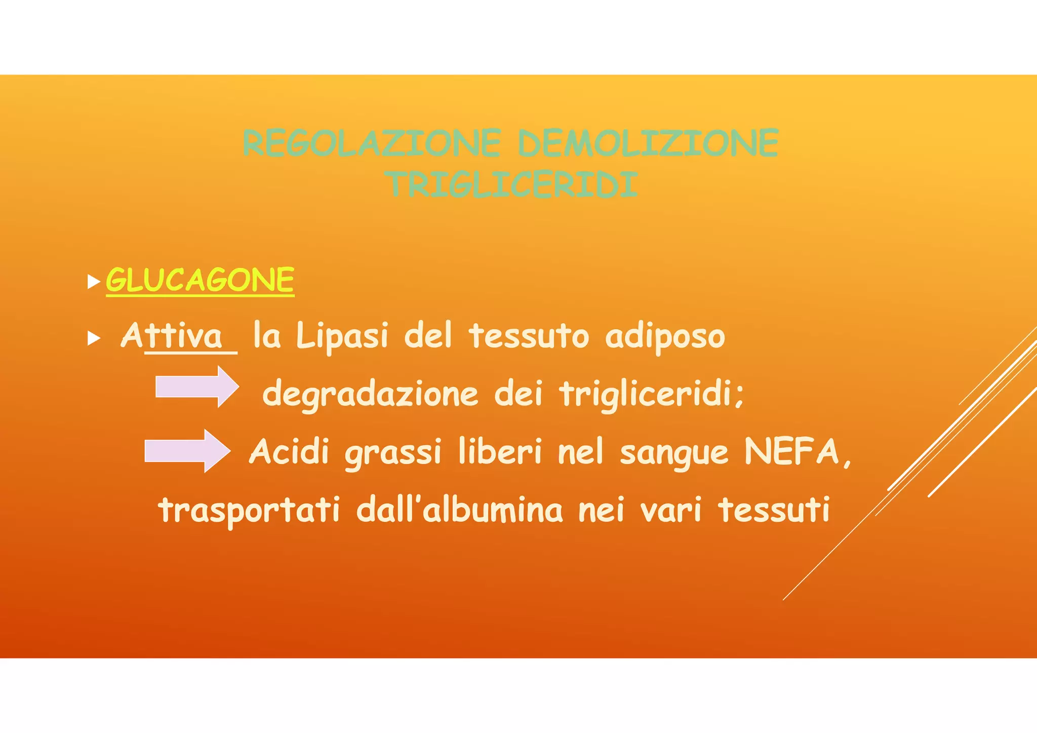 Icom lez 4 lipidi | PDF