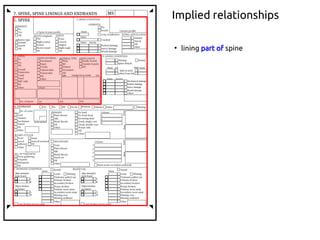 Implied relationships
●
lining part of spine
 