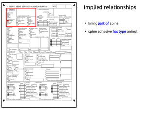 ●
lining part of spine
●
spine adhesive has type animal
Implied relationships
 