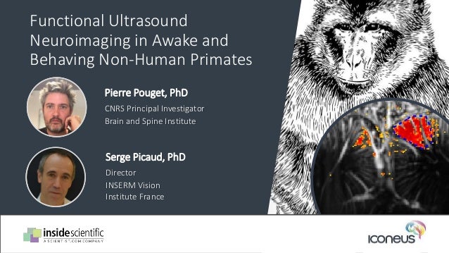 Functional Ultrasound
Neuroimaging in Awake and
Behaving Non-Human Primates
Serge Picaud, PhD
Director
INSERM Vision
Institute France
Pierre Pouget, PhD
CNRS Principal Investigator
Brain and Spine Institute
 