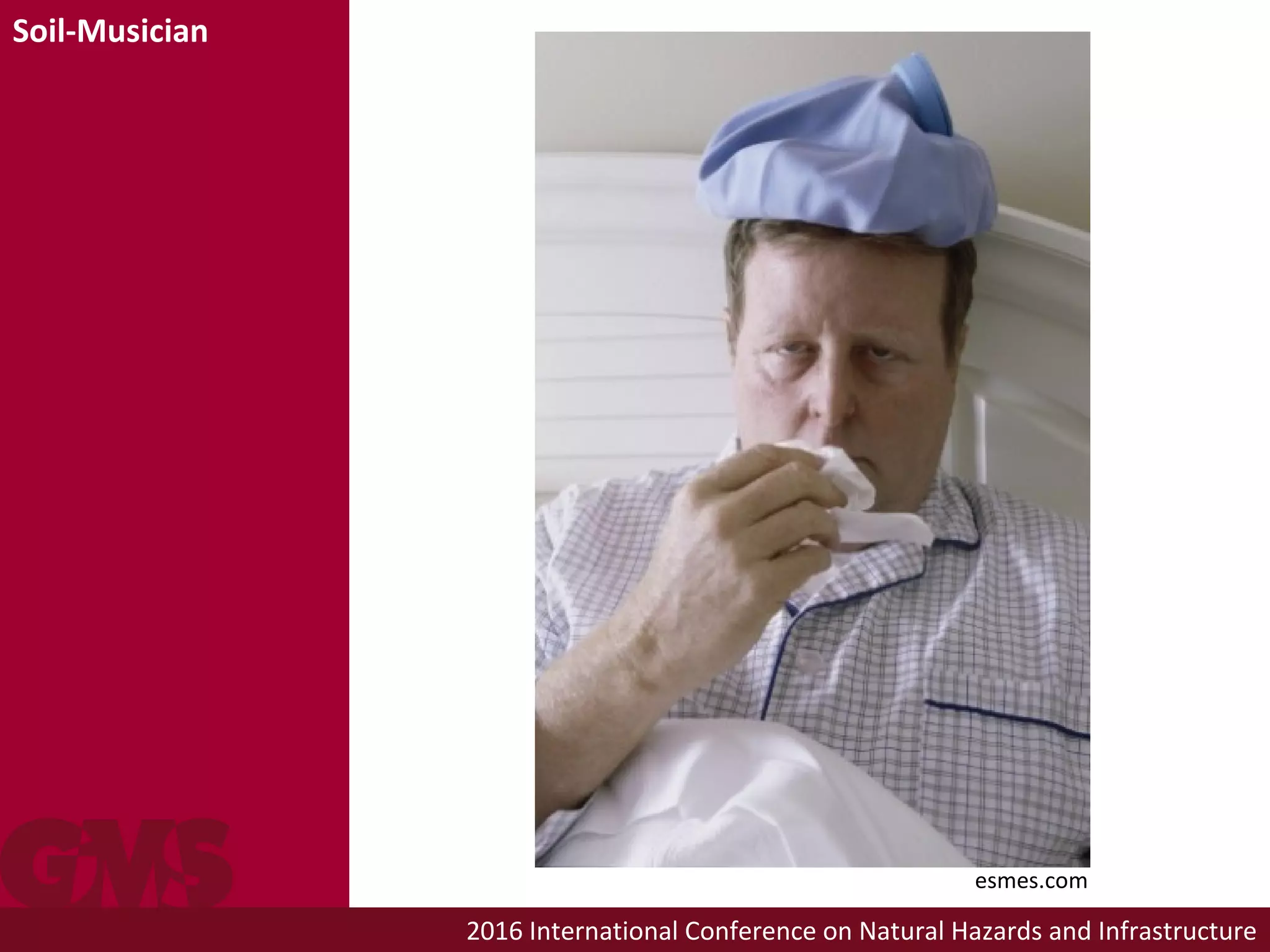 2016 International Conference on Natural Hazards and Infrastructure
Soil-Musician
esmes.com
 