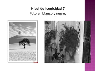 Nivel de iconicidad 7Foto en blanco y negro.