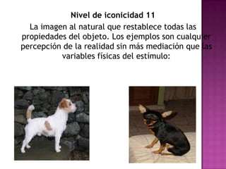 Nivel de iconicidad 11La imagen al natural que restablece todas las propiedades del objeto. Los ejemplos son cualquier percepción de la realidad sin más mediación que las variables físicas del estímulo: