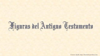 Carmen Águila, https://hortushesperidum.com
 