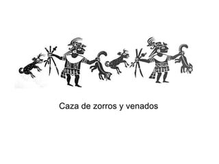 Caza de zorros y venados 