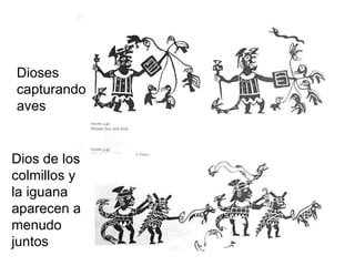Dioses  capturando aves Dios de los  colmillos y la iguana  aparecen a  menudo juntos  