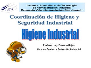 Profesor: Ing. Eduardo Rojas
Mención Gestión y Protección Ambiental
 