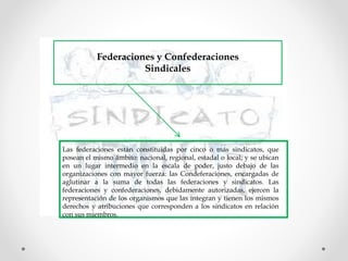 Federaciones y Confederaciones
Sindicales
Las federaciones están constituidas por cinco o más sindicatos, que
posean el mismo ámbito: nacional, regional, estadal o local; y se ubican
en un lugar intermedio en la escala de poder, justo debajo de las
organizaciones con mayor fuerza: las Condeferaciones, encargadas de
aglutinar a la suma de todas las federaciones y sindicatos. Las
federaciones y confederaciones, debidamente autorizadas, ejercen la
representación de los organismos que las integran y tienen los mismos
derechos y atribuciones que corresponden a los sindicatos en relación
con sus miembros.
 