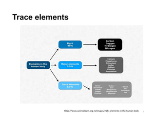 Trace elements
https://www.sciencelearn.org.nz/images/2143-elements-in-the-human-body 3
 