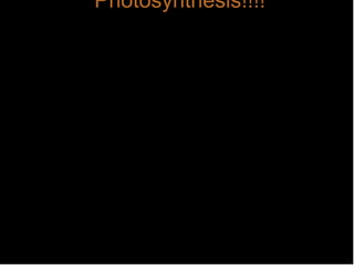 Photosynthesis!!!! 