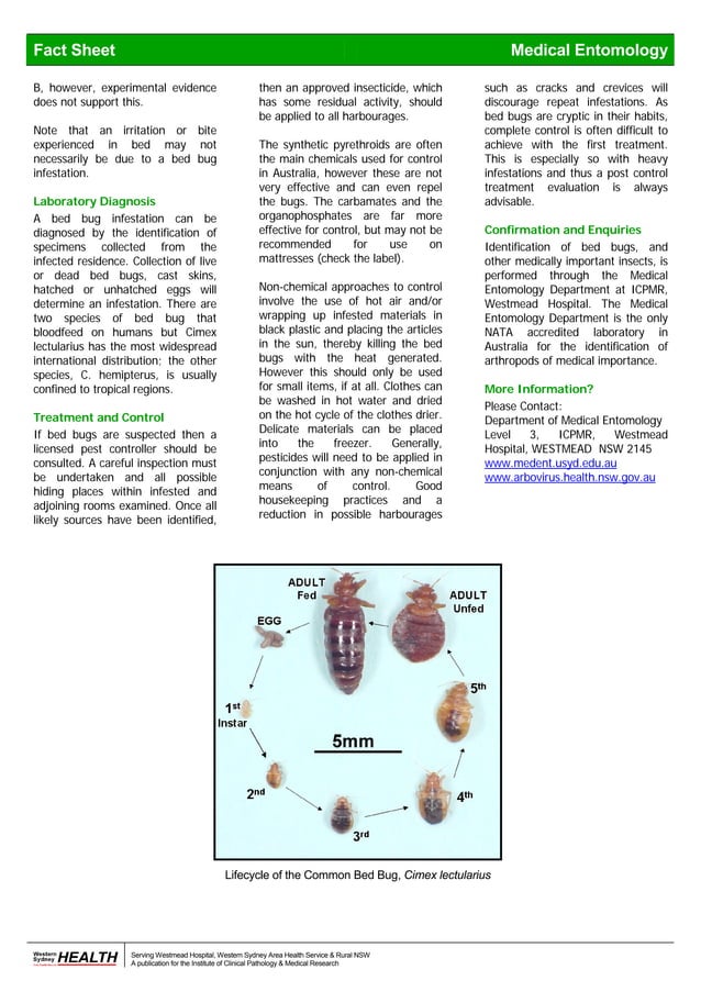 Bed Bugs Fact Sheet