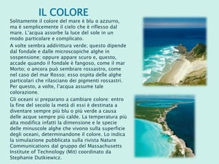 IL COLORE
Solitamente il colore del mare è blu o azzurro,
ma è semplicemente il cielo che è riflesso dal
mare. L’acqua assorbe la luce del sole in un
modo particolare e complicato.
A volte sembra addirittura verde; questo dipende
dal fondale e dalle microscopiche alghe in
sospensione; oppure appare scuro e, questo,
accade quando il fondale è fangoso, come il mar
Morto; o ancora può sembrare rossastro, come
nel caso del mar Rosso; esso ospita delle alghe
particolari che rilasciano dei pigmenti rossastri.
Per questo, a volte, l’acqua assume tale
colorazione.
Gli oceani si preparano a cambiare colore: entro
la fine del secolo la metà di essi è destinata a
diventare sempre più blu o più verde a causa
delle acque sempre più calde. La temperatura più
alta modifica infatti la dimensione e le specie
delle minuscole alghe che vivono sulla superficie
degli oceani, determinandone il colore. Lo indica
la simulazione pubblicata sulla rivista Nature
Communications dal gruppo del Massachusetts
Institute of Technology (Mit) coordinato da
Stephanie Dutkiewicz.
 