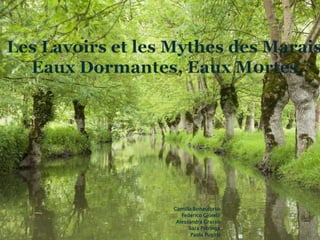 Camilla Bonaccorso
Federico Giorelli
Alessandra Grasso
Sara Petringa
Paola Puglisi
 