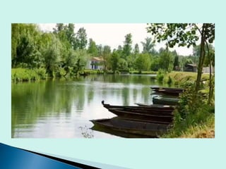 Icprogetto pluridisciplinare completo