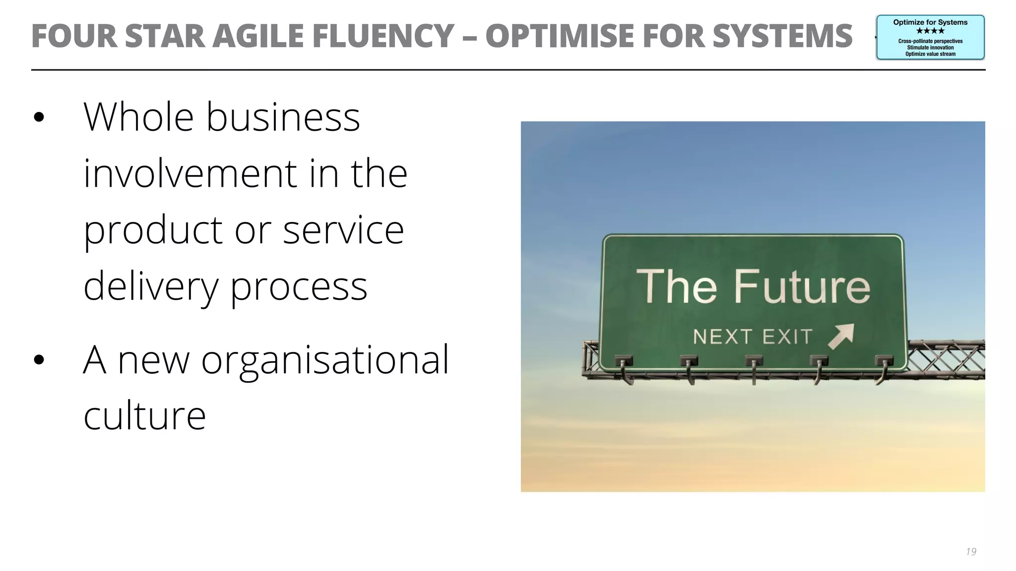 FOUR STAR AGILE FLUENCY – OPTIMISE FOR SYSTEMS
•  Whole business
involvement in the
product or service
delivery process
•  A new organisational
culture
19
 