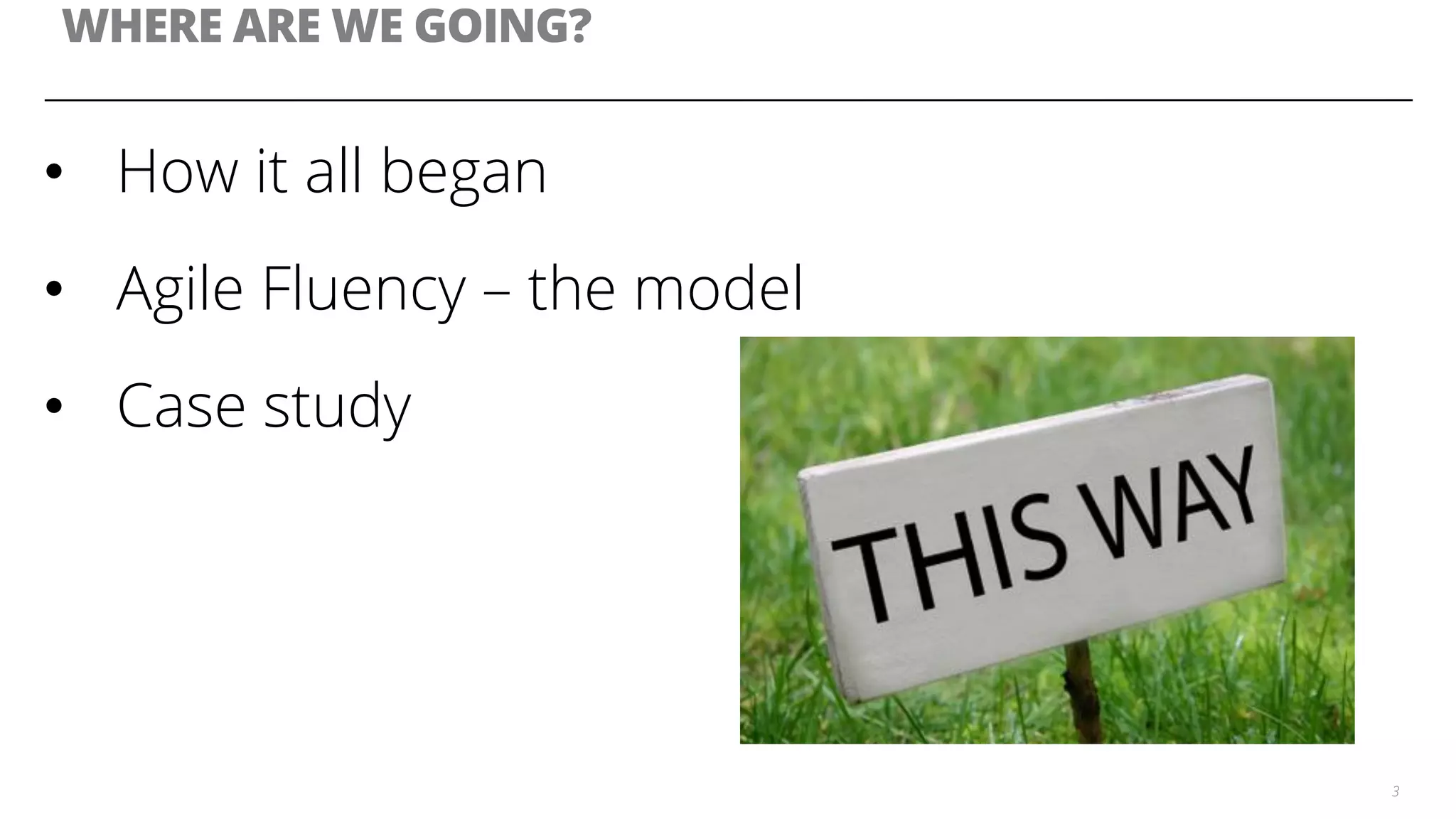 WHERE ARE WE GOING?
•  How it all began
•  Agile Fluency – the model
•  Case study
3
 
