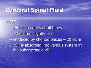 Cerebral Spinal Fluid
• CSF
– 150 cc in adults at all times
•Children slightly less
– Produced by choroid plexus – 20 cc/hr
– CSF is absorbed into venous system at
the subarachnoid villi
 