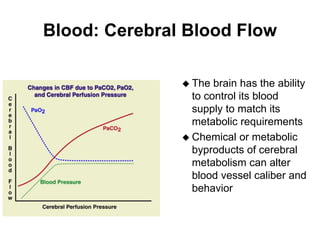  The brain has the ability
to control its blood
supply to match its
metabolic requirements
 Chemical or metabolic
byproducts of cerebral
metabolism can alter
blood vessel caliber and
behavior
Blood: Cerebral Blood Flow
 