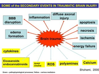 Brain trauma
BBB
disruption
diffuse axonal
injury
edema
formation
Eicosanoids
endocannabinoids
necrosis
energy failure
cytokines
SOME of the SECONDARY EVENTS IN TRAUMATIC BRAIN INJURY
apoptosis
inflammation
ROS polyamines Calcium
Acetyl
Choline
ischemia
Shohami, 2000
Green – pathophysiological processes; Yellow – various mediators
 
