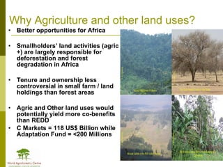 Africa in Post 2012 Climate Change Negotiations: Some Policy Perspectives