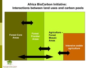 Africa in Post 2012 Climate Change Negotiations: Some Policy Perspectives