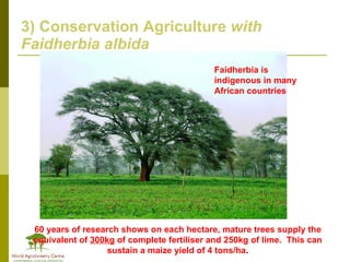 Africa in Post 2012 Climate Change Negotiations: Some Policy Perspectives