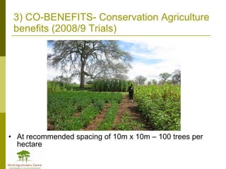 Africa in Post 2012 Climate Change Negotiations: Some Policy Perspectives