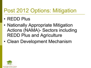 Africa in Post 2012 Climate Change Negotiations: Some Policy Perspectives