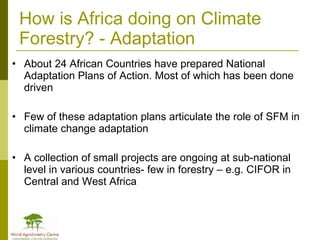 Africa in Post 2012 Climate Change Negotiations: Some Policy Perspectives