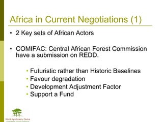 Africa in Post 2012 Climate Change Negotiations: Some Policy Perspectives