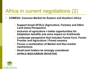 Africa in Post 2012 Climate Change Negotiations: Some Policy Perspectives