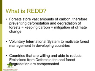 Africa in Post 2012 Climate Change Negotiations: Some Policy Perspectives