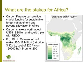 Africa in Post 2012 Climate Change Negotiations: Some Policy Perspectives