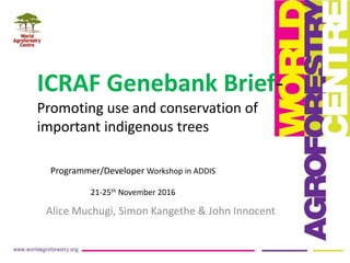 Alice Muchugi, Simon Kangethe & John Innocent
ICRAF Genebank Brief-
Promoting use and conservation of
important indigenous trees
Programmer/Developer Workshop in ADDIS
21-25th November 2016
 