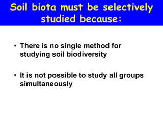 Soil biota must be selectively
       studied because:

• There is no single method for
  studying soil biodiversity

• It is not possible to study all groups
  simultaneously
 