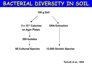 BACTERIAL DIVERSITY IN SOIL
                       100 g Soil




       5 x 1011 Colonies        DNA Extraction
        on Agar Plates


        200 Isolates


   66 Cultured Species        13,000 Genetic Species




                                           Torsvik et al., 1994
 