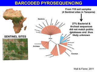 BARCODED PYROSEQUENCING
                         From 118 soil samples
                      (4 Sentinel sites in Tanzania)



                              27% Bacterial &
                             Archeal sequences
                            did not match public
                            databases and thus
                               likely unknown
SENTINEL SITES




                                Wall & Fierer, 2011
 