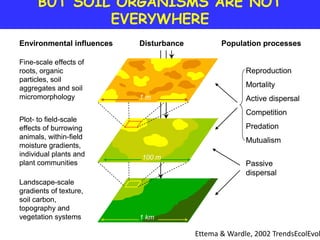 BUT SOIL ORGANISMS ARE NOT
              EVERYWHERE
Environmental influences   Disturbance          Population processes

Fine-scale effects of
roots, organic                                         Reproduction
particles, soil
aggregates and soil                                    Mortality
micromorphology            1m                          Active dispersal
                                                       Competition
Plot- to field-scale
effects of burrowing                                   Predation
animals, within-field                                  Mutualism
moisture gradients,
individual plants and      100 m
plant communities                                      Passive
                                                       dispersal
Landscape-scale
gradients of texture,
soil carbon,
topography and
vegetation systems         1 km

                                         Ettema & Wardle, 2002 TrendsEcolEvol
 