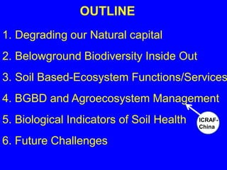 OUTLINE
1. Degrading our Natural capital
2. Belowground Biodiversity Inside Out
3. Soil Based-Ecosystem Functions/Services
4. BGBD and Agroecosystem Management
5. Biological Indicators of Soil Health   ICRAF-
                                            china
                                          China

6. Future Challenges
 