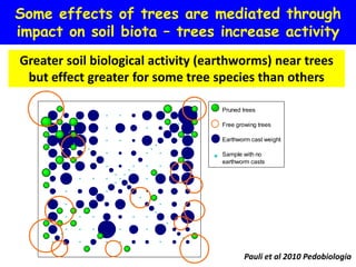 Some effects of trees are mediated through
impact on soil biota – trees increase activity
Greater soil biological activity (earthworms) near trees
 but effect greater for some tree species than others

                                    Pruned trees

                                    Free growing trees

                                    Earthworm cast weight

                                    Sample with no
                                    earthworm casts




                                            Pauli et al 2010 Pedobiologia
 